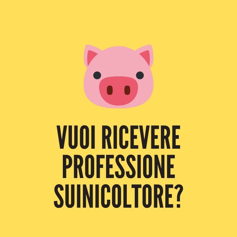 Ricevi Professione Suinicoltore